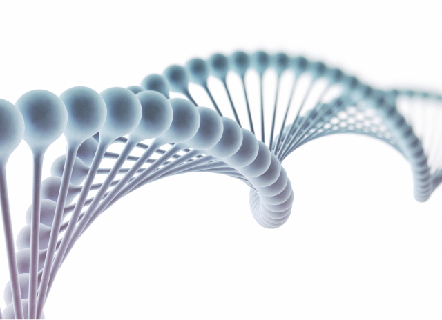 Teste de DNA: mitos e verdades